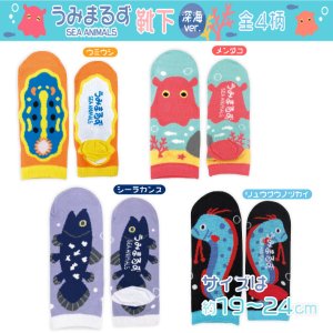画像5: 『うみまるず』靴下：深海魚Ver.(ウミウシ)【KiNiNaRu/きになる】キャラクターグッズ 通販