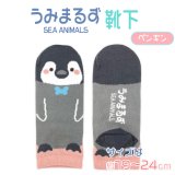 『うみまるず』靴下(ペンギン)【KiNiNaRu/きになる】キャラクターグッズ 通販