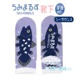 画像1: 『うみまるず』靴下：深海魚Ver.(シーラカンス)【KiNiNaRu/きになる】キャラクターグッズ 通販 (1)